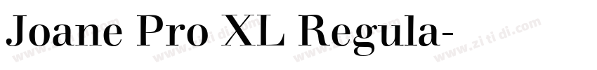 Joane Pro XL Regula字体转换
